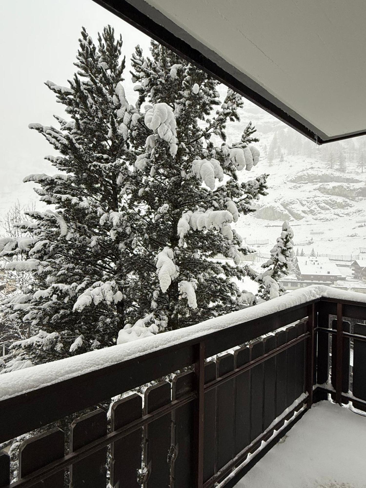 Snowball, Modern, Cosy, Matterhorn Views Apartamento Zermatt